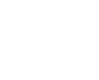 DG SPORTS